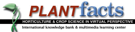 OSU PlantFacts